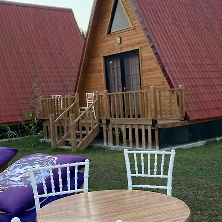 Noel & Cafe Hotel *